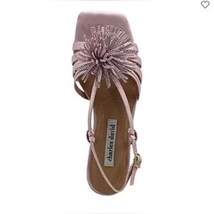 Charles David Women’s Carson Adjustable Strap Flat Sandals Size 8.5 M
NEW IN BOX
